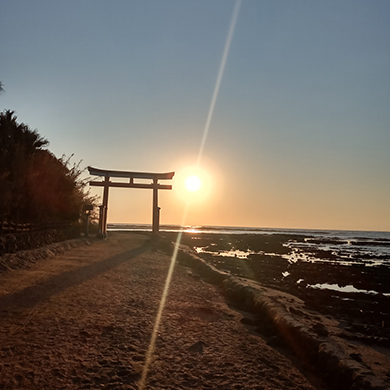 愛車（バイク）