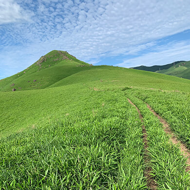 心の栄養ドリンク（コロンちゃん・フライフィッシング・登山）